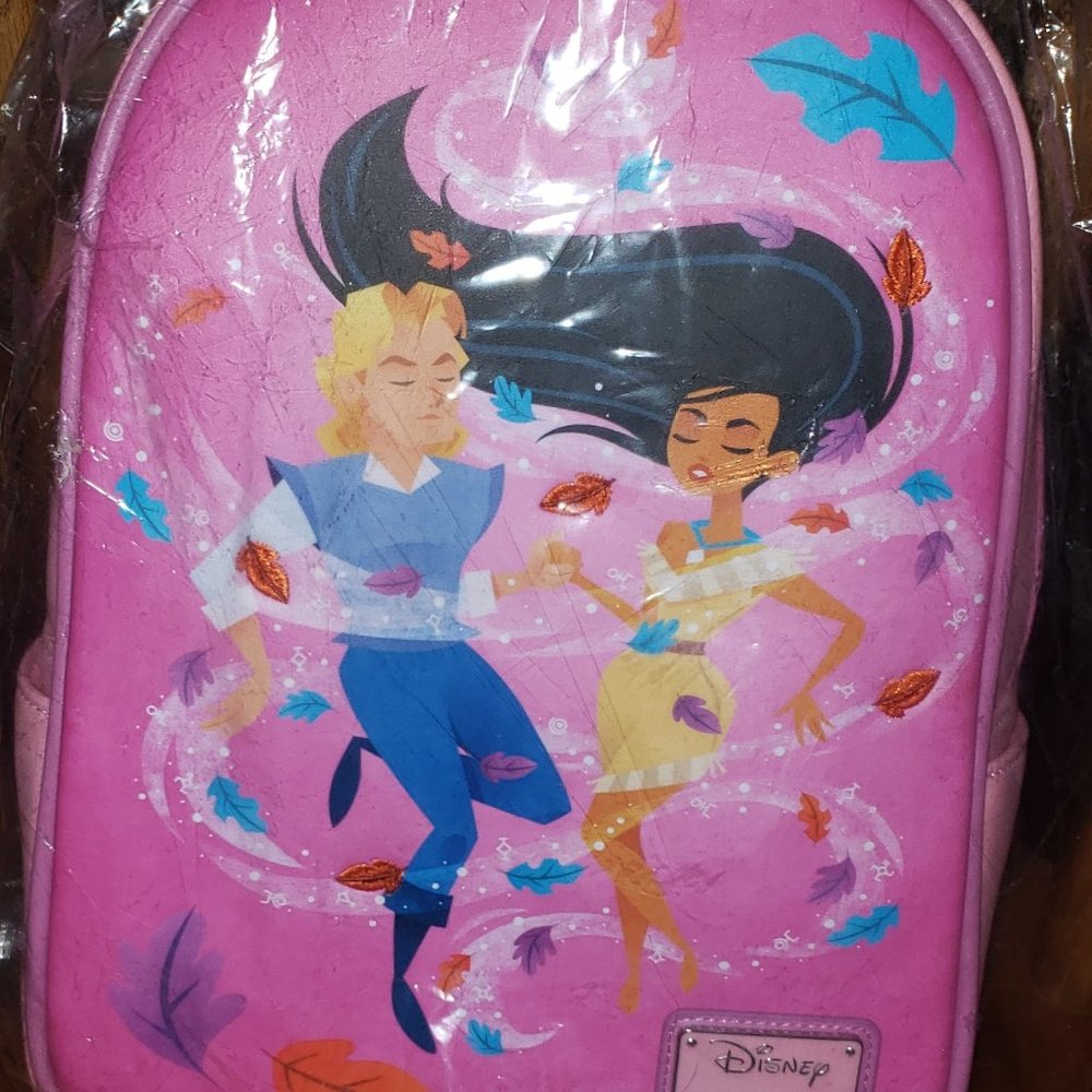 Pocahantes Disney bag mini